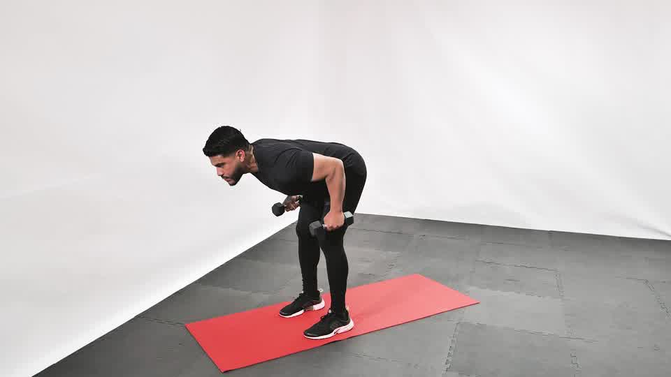 Dumbbell Tricep Kickback exercise