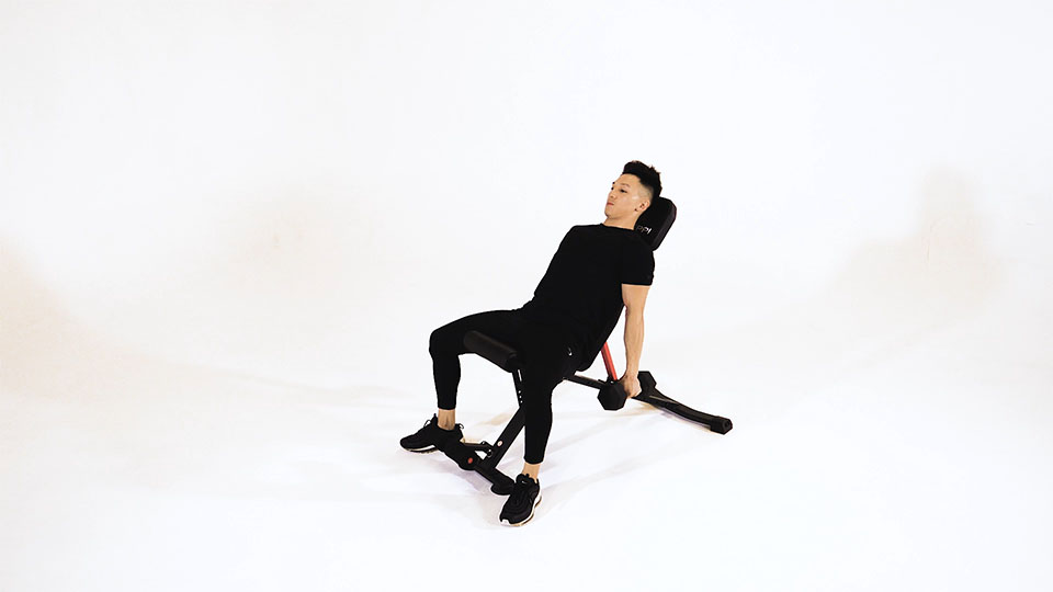 Incline bench hammer curls online