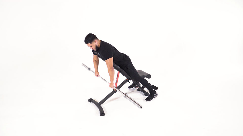 Barbell Cambered Row (Prone) exercise