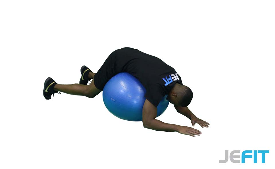 Stability Ball Full Body Plank exercise