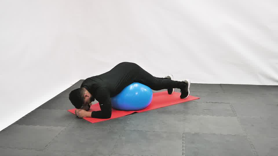 Stability Ball Balance exercise