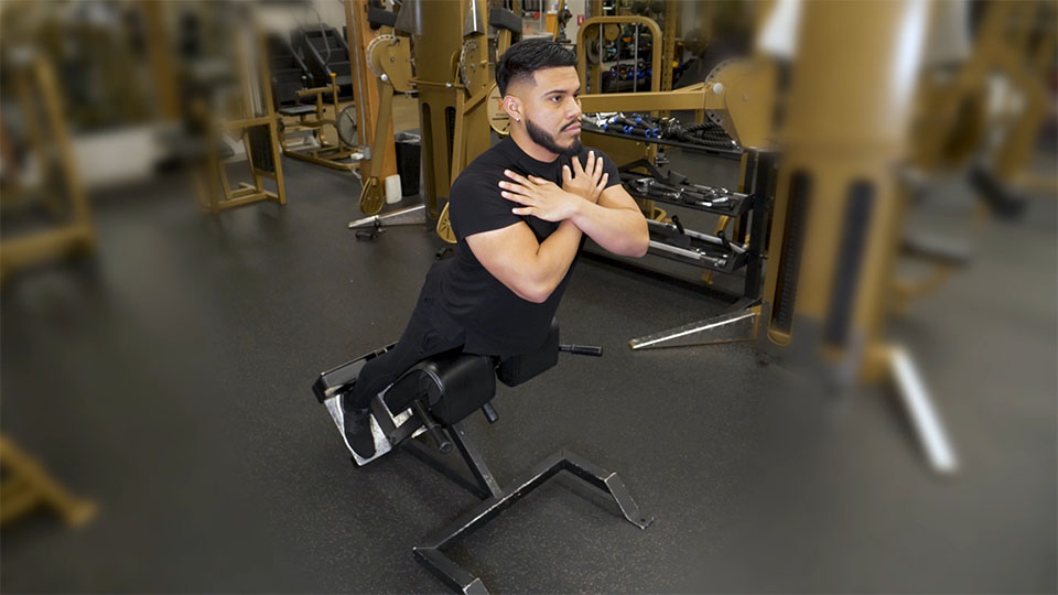 Hyperextension back 2025 exercise