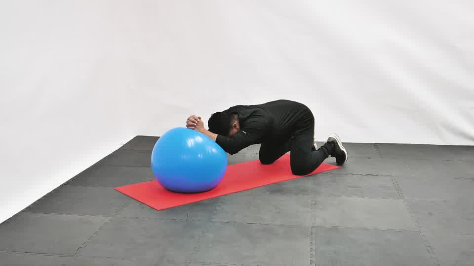 Stability Ball Plank exercise