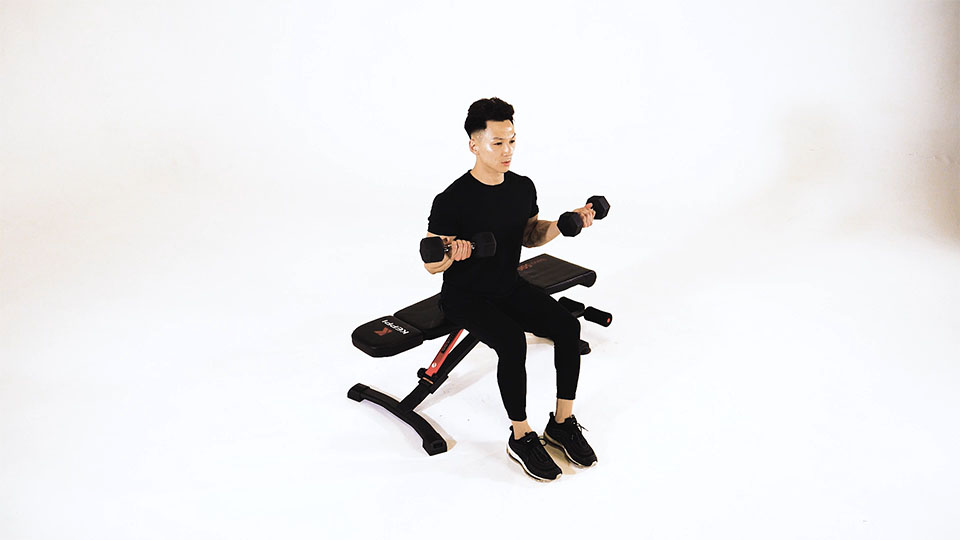 Dumbbell Seated Curl exercise
