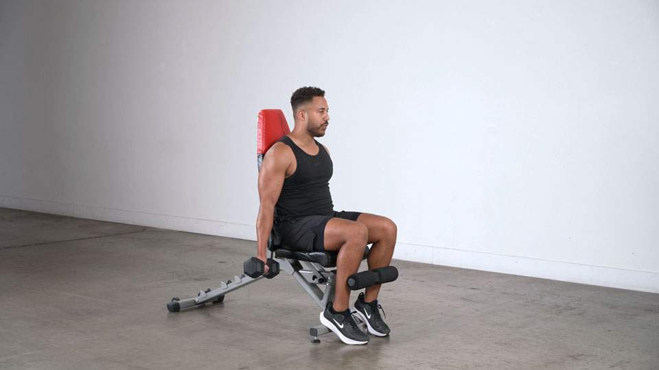 Dumbbell Alternating Seated Curl exercise