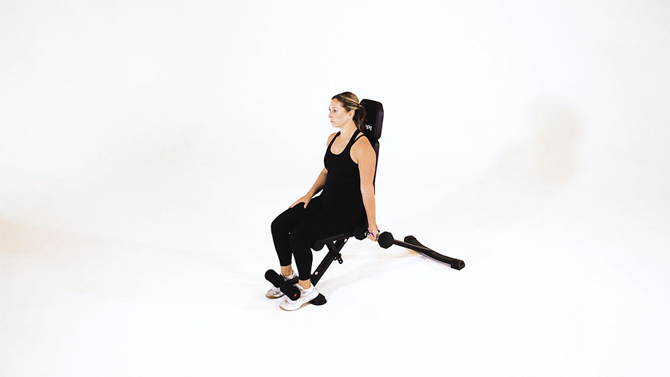 Dumbbell One-Arm Seated Curl exercise