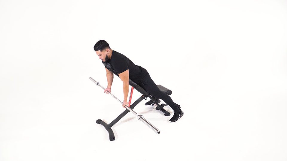 Barbell Incline Row (Reverse Grip) exercise