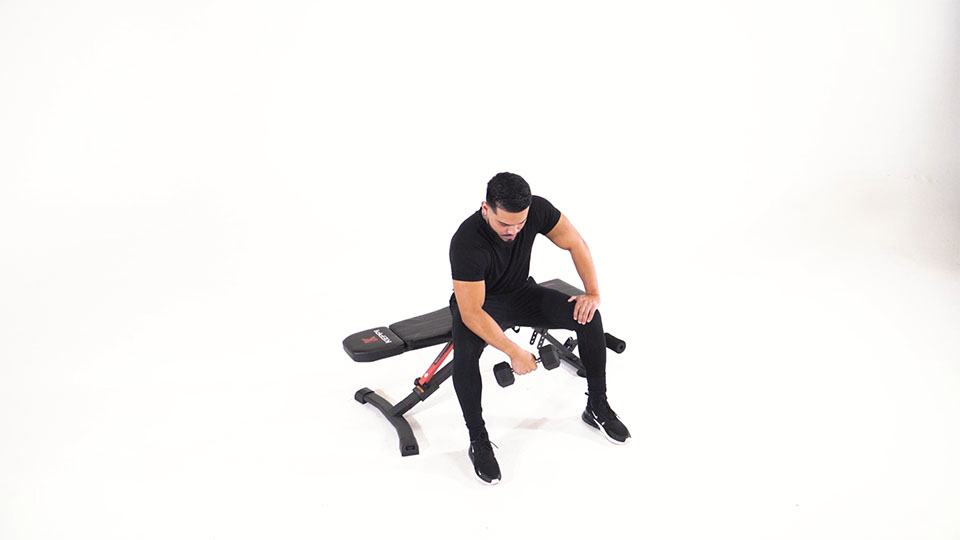 Dumbbell Seated One-Arm Wrist Curl exercise