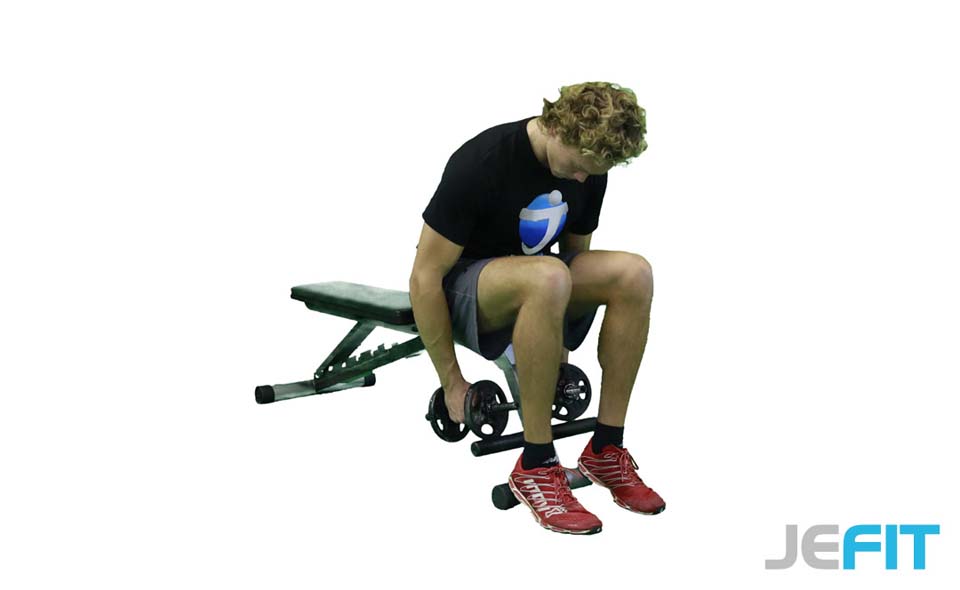 Dumbbell Seated Bent-Over Reverse Fly exercise