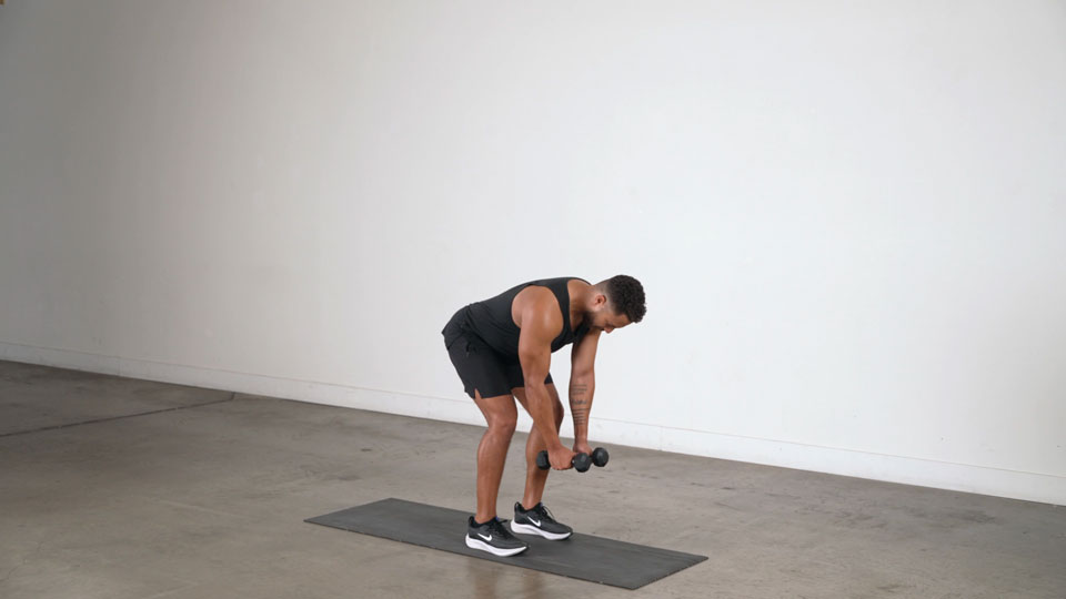 Dumbbell Bent-Over Reverse Fly exercise