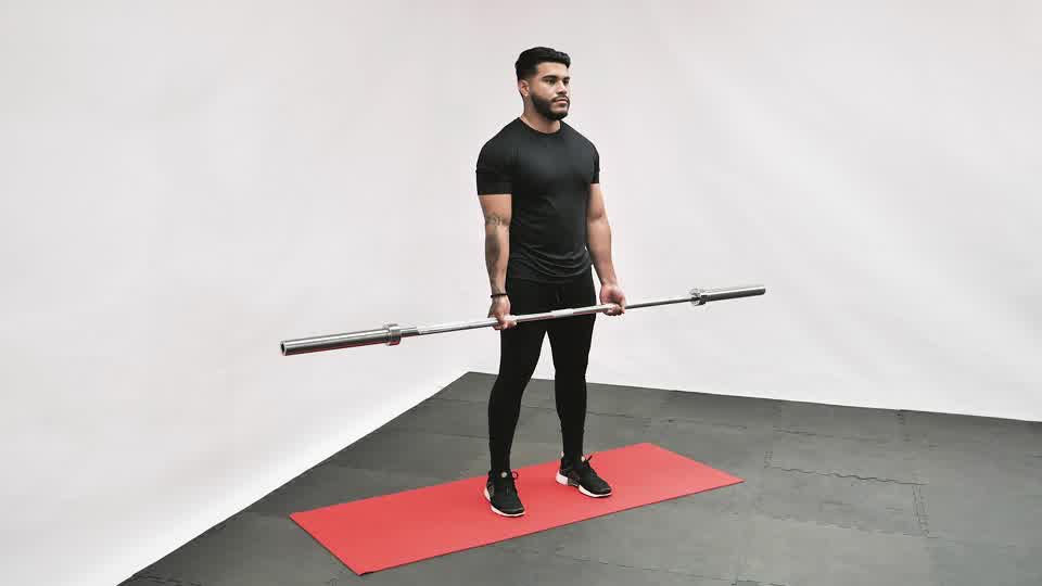 Barbell Curl exercise