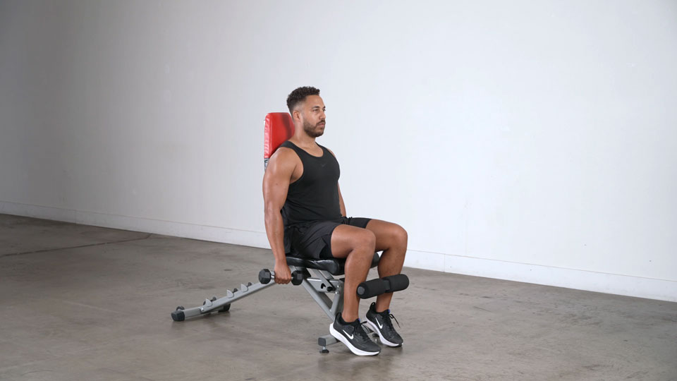 Dumbbell Seated Front Raise exercise