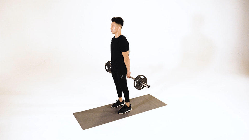 Barbell Wrist Curl (Posterior) exercise