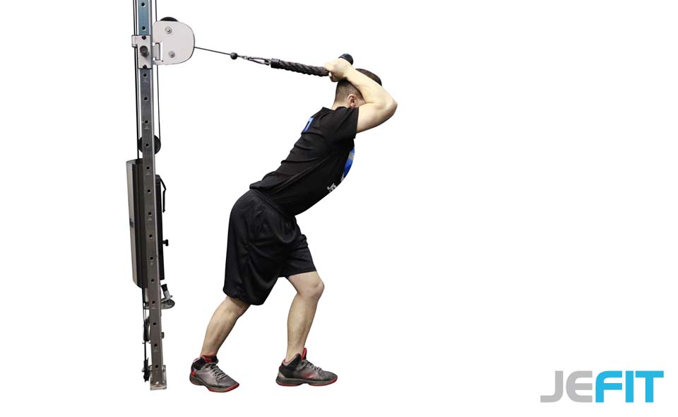 Cable Rope High Pulley Tricep Extension exercise