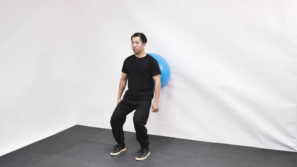 Stability Ball Wall Squat