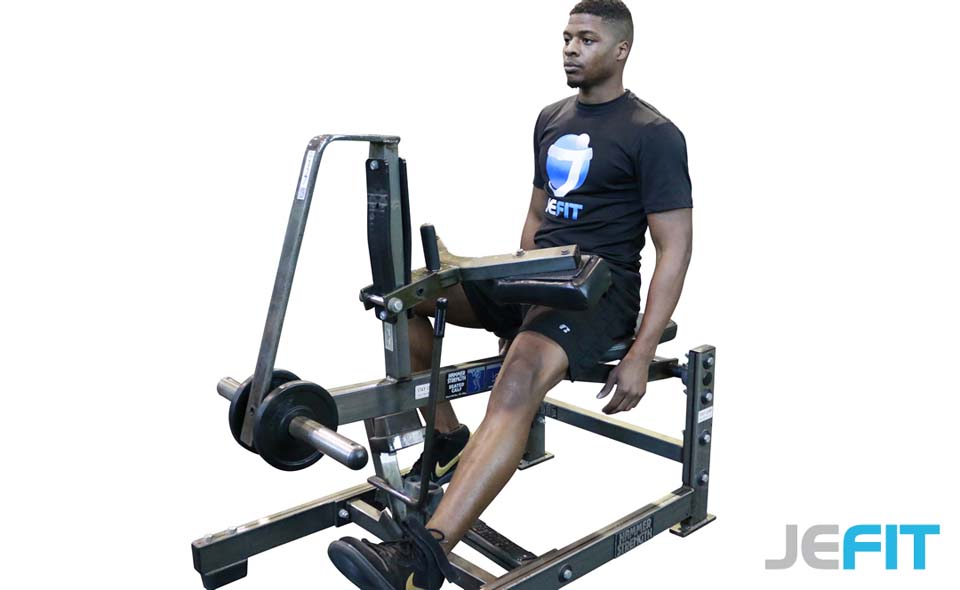 Single Leg Resistance Band Seated Leg Extension