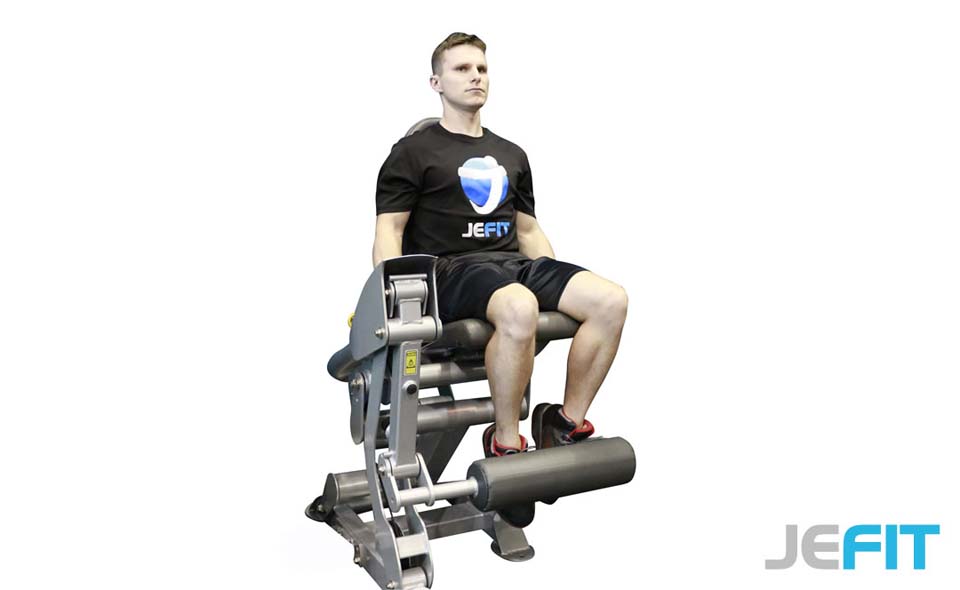 Machine Single-Leg Extension