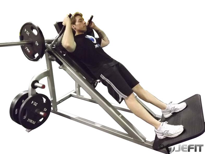 Machine Squat exercise