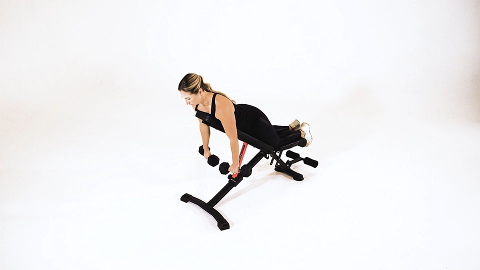 Dumbbell Reverse Spider Curl exercise