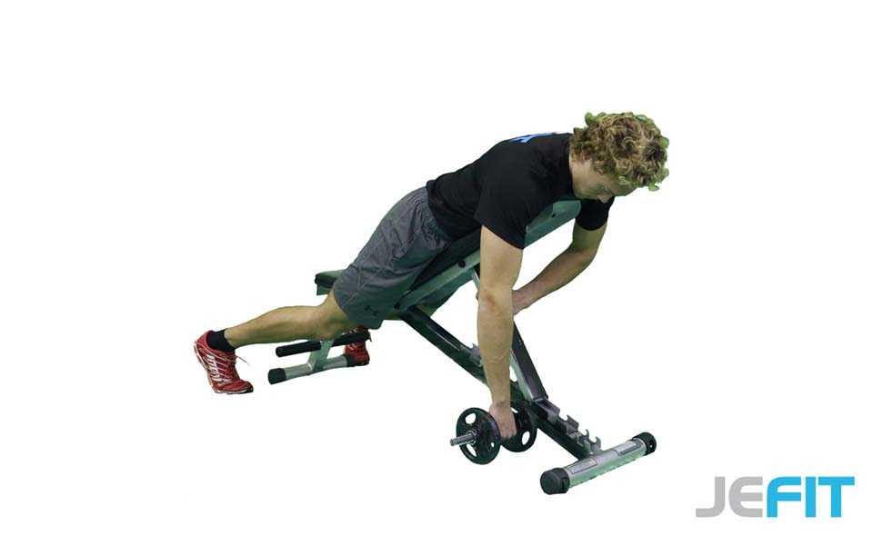 Dumbbell One-Arm Rear Row (Prone) exercise