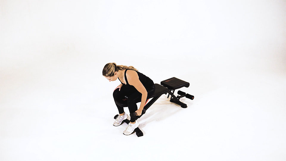 Dumbbell Seated Bent-Over One-Arm Reverse Fly exercise