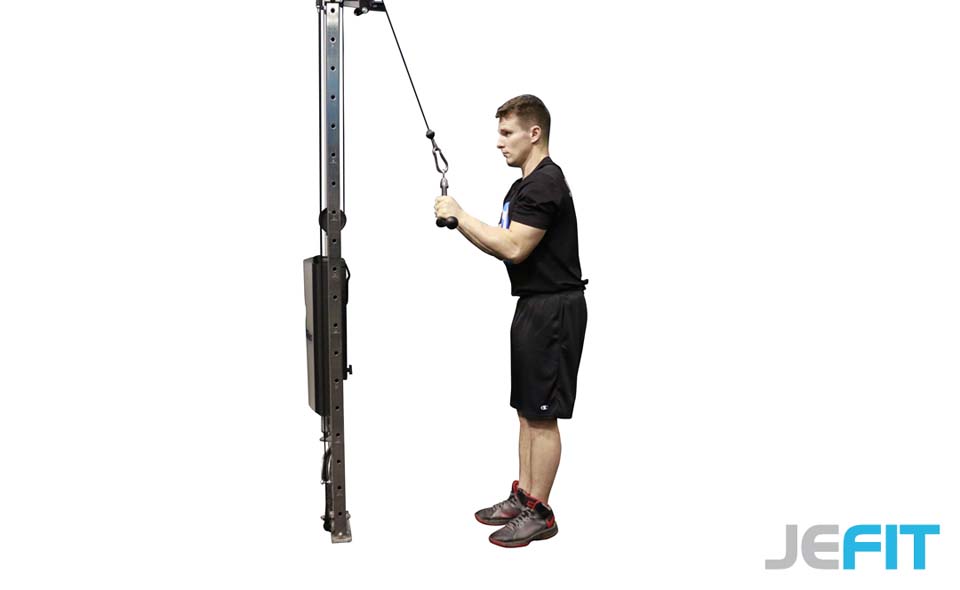 Cable Tricep Pushdown (V-Bar) exercise