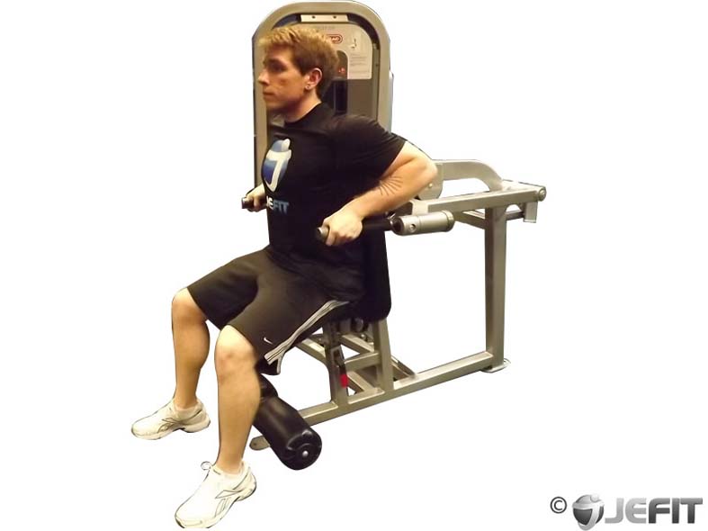 Machine Seated Tricep Dip A Strength