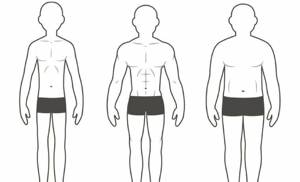 The Three Different Body Types and How They Affect Your Training