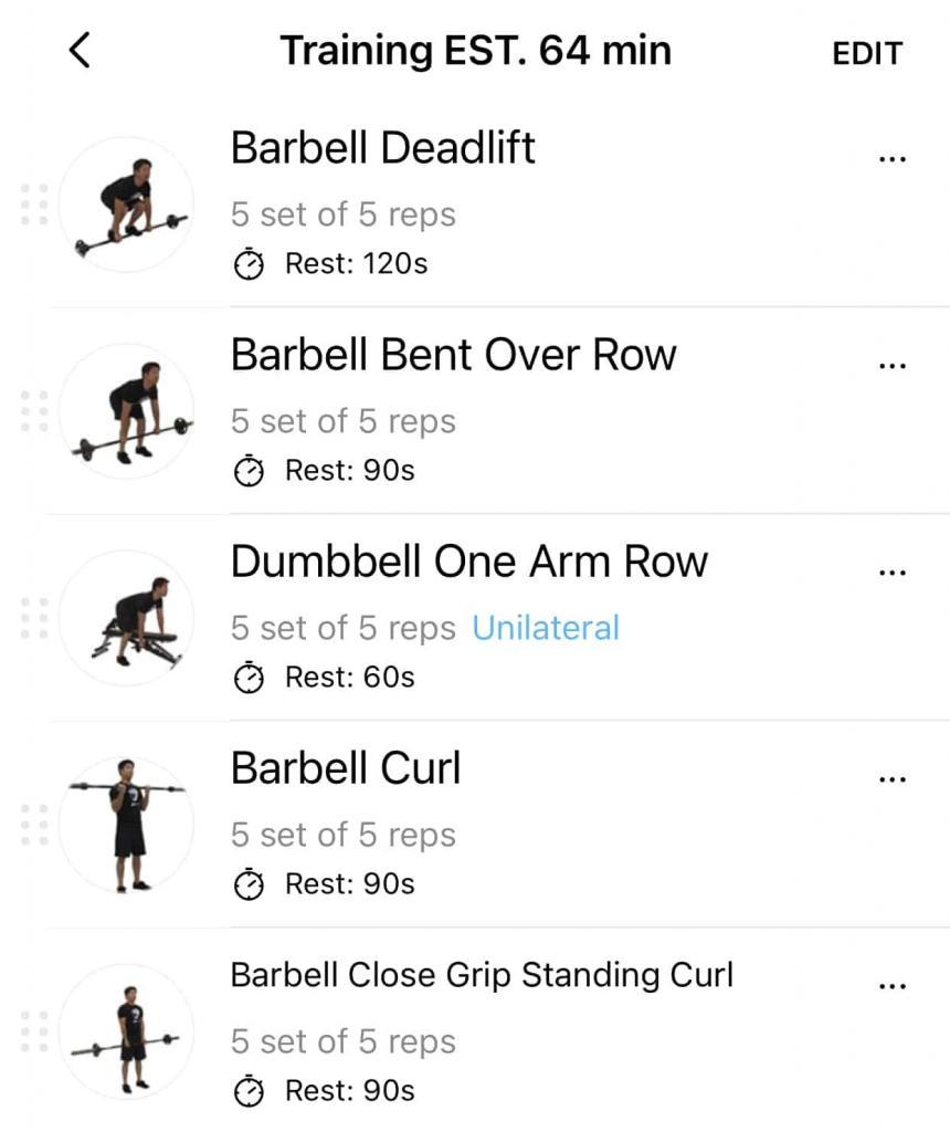 Back and Bicep workout