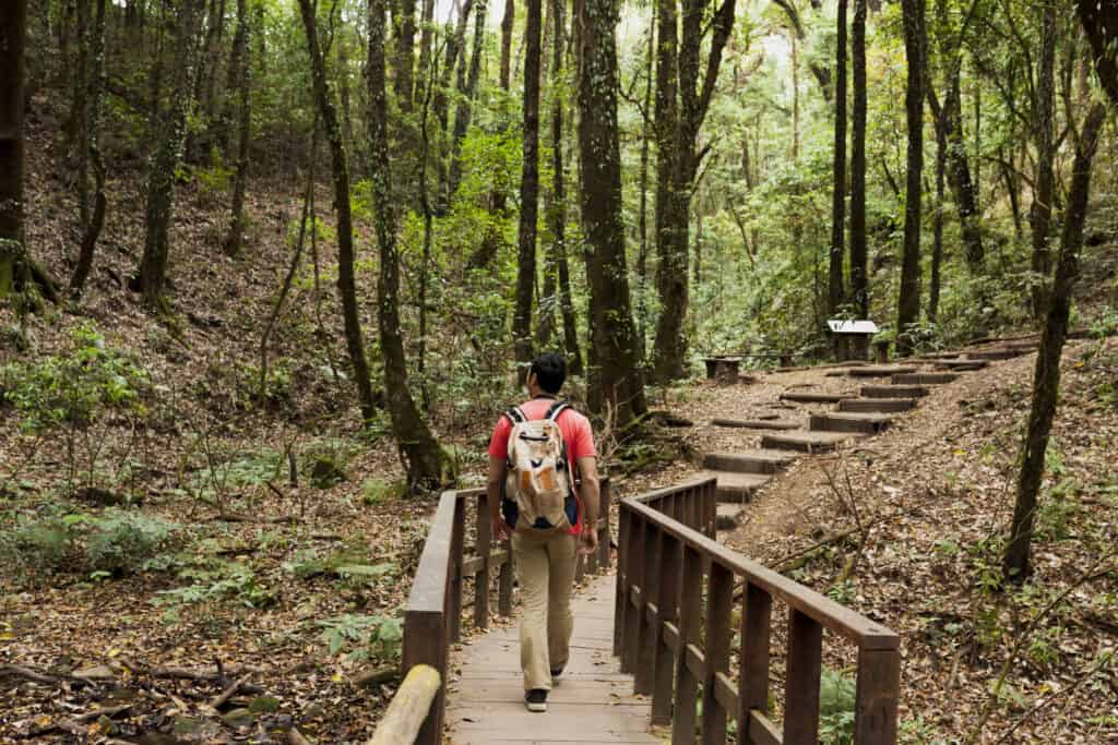 man hiking in woods