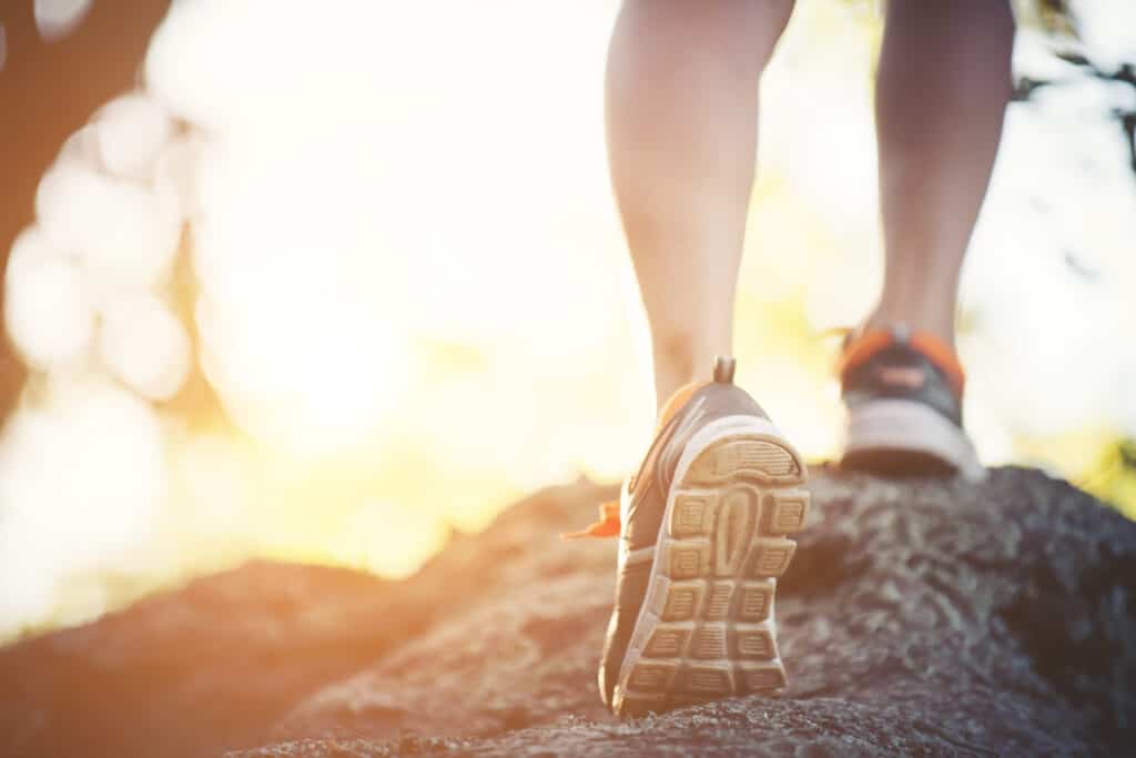 person hiking in woods