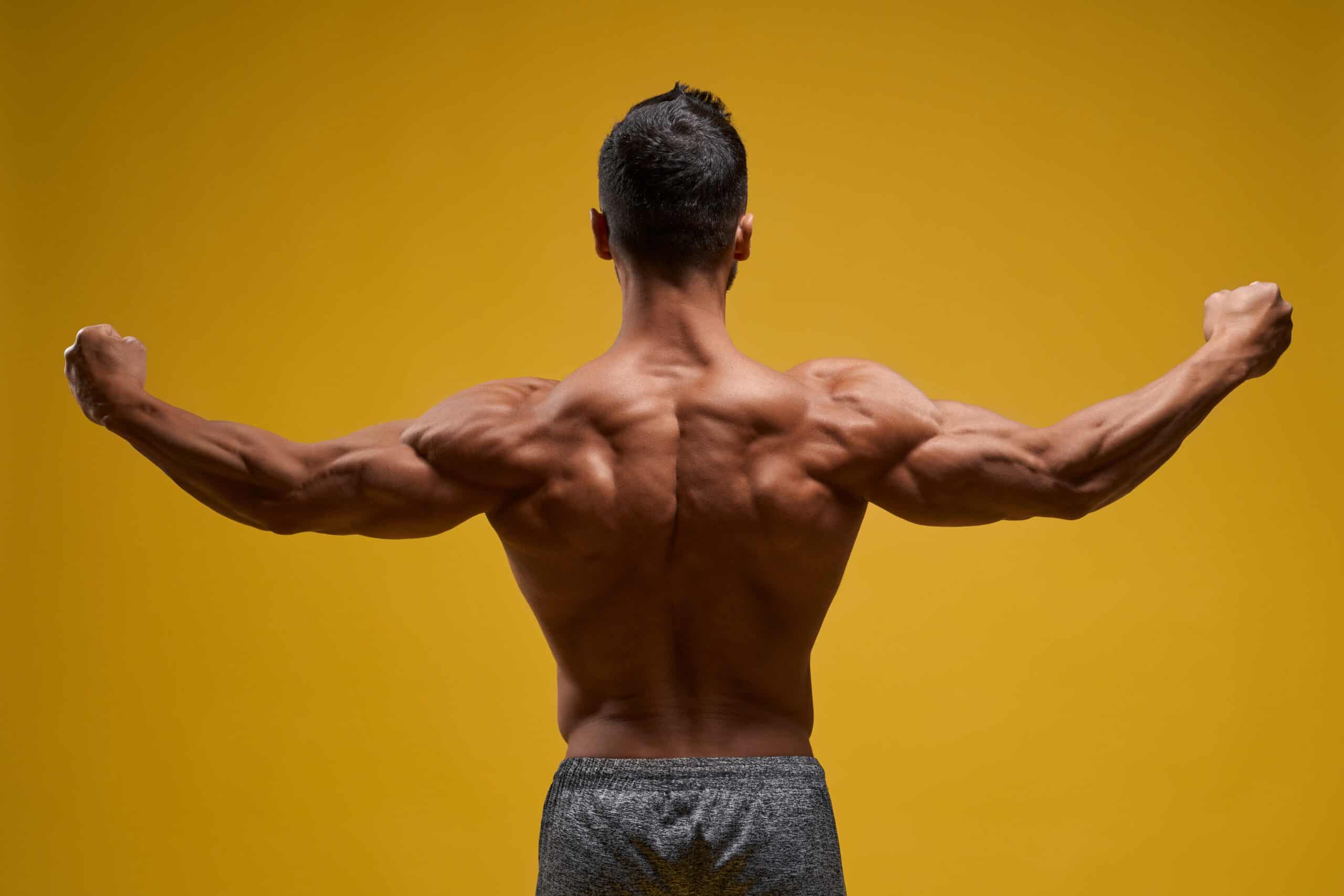 Strong back. Мощная спина. Не рельефный пресс. Упражнения на руки с гантелями для мужчин.