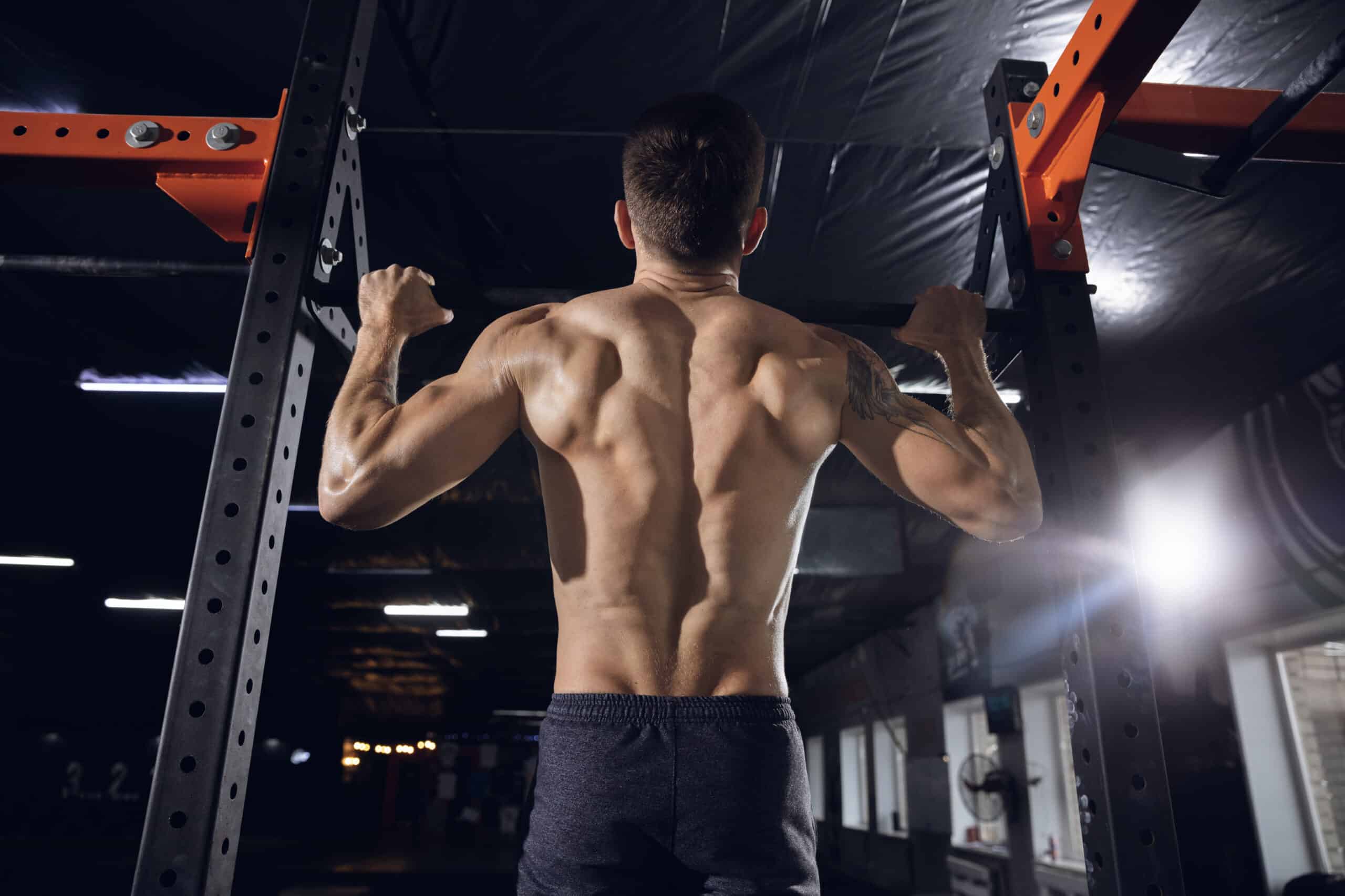 Want a Stronger Back & Grip? Pulling Exercise Options